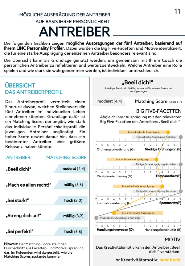 Beispielseite „Antreiber“ aus dem Coaching Profiler